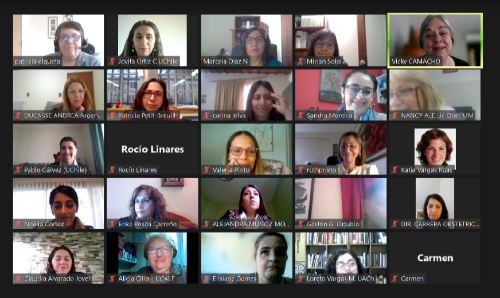 Primera red de directores de programas formativos en partería