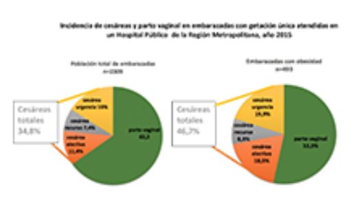 La investigación arrojó que las embarazadas que tuvieron obesidad pregestacional tuvieron 1.46 veces más riesgo de presentar una cesárea de cualquier tipo.