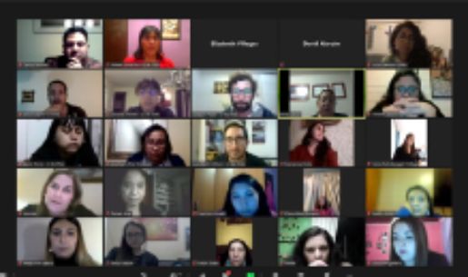 El curso se realizó considerando dos jornadas sincrónicas vía Zoom
