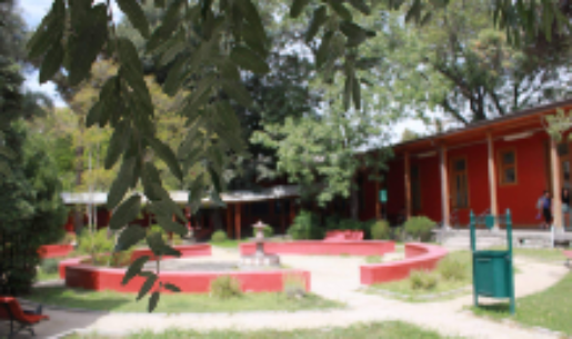 La acreditación de la Escuela de Terapia Ocupacional ante la WFOT es por el plazo máximo de siete años