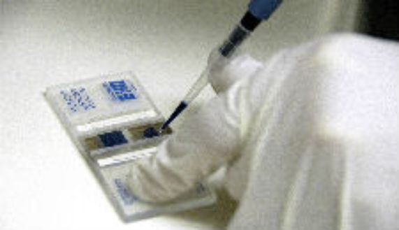 La Facultad de Medicina se adjudicó 15 proyectos Fondecyt Regular 2021 y ocho Fondecyt de Postdoctorado.