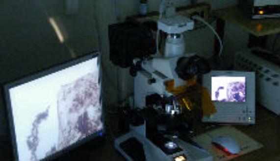 La convocatoria apoya la ejecución de proyectos de investigación científica y tecnológica, que cuenten con resultados previos que sustenten una hipótesis de aplicación de un producto, proceso o servicio, para el desarrollo de un prototipo a pequeña escala en un plazo de dos años.