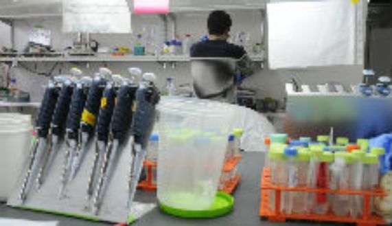 Siete proyectos de la Facultad de Medicina obtuvieron fondos para investigar el Coronavirus