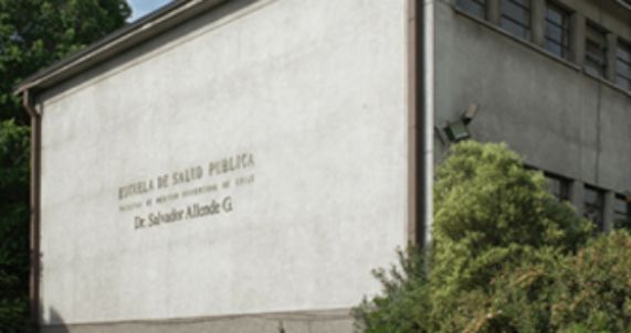 El equipo de investigación está compuesto por varios académicos de la Escuela de Salud Pública.