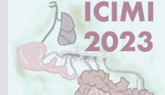 Curso Inflammation, Cancer and Intestinal Mucosal Immunology (ICIMI 2023) 