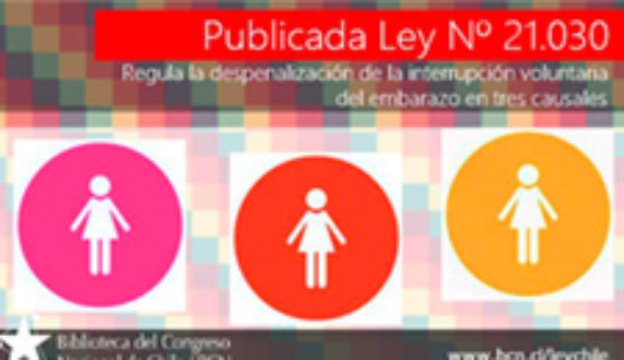 El estudio busca detectar las barreras en la implementación de la Ley 21.030. 