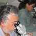 Tecnólogos médicos se actualizan en hematología