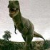 Confirman que aves son dinosaurios vivientes